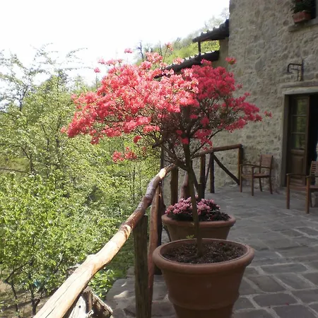 Agriturismo Molino Paradiso-3
